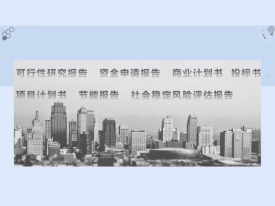 甘孜县做可行性报告写立项报告会写可行性报告的公司
