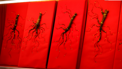 华夏资讯网 精彩活动，第一时间发现