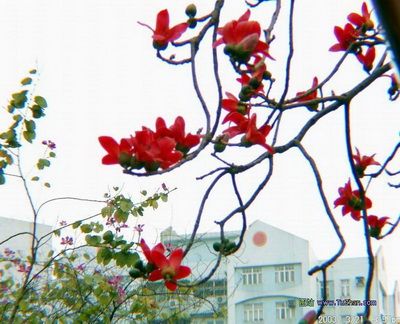 深刻的转向——2009年儿童文学综述